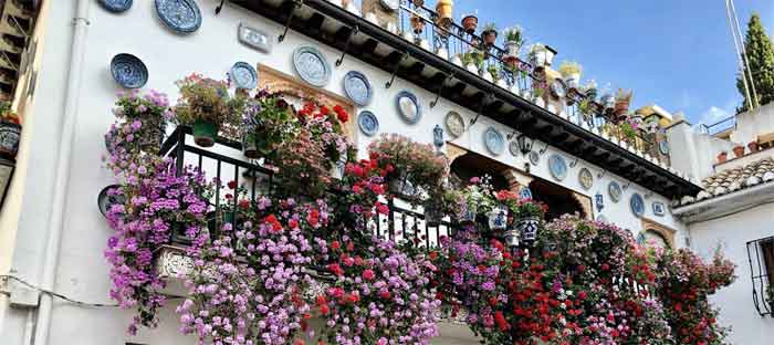 flower draped balcony railings