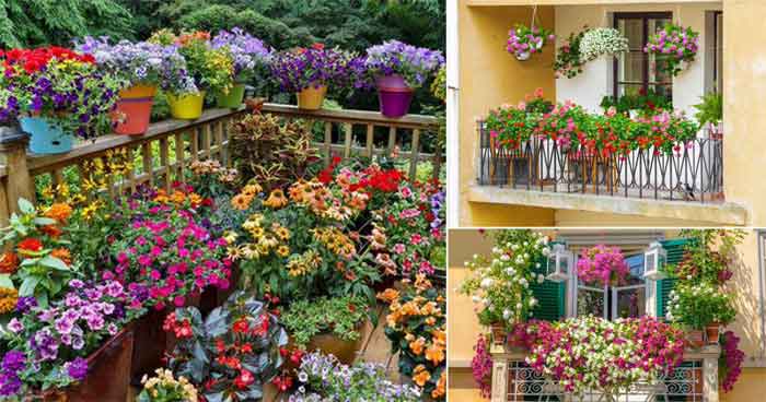 Flower terrace garden ideas