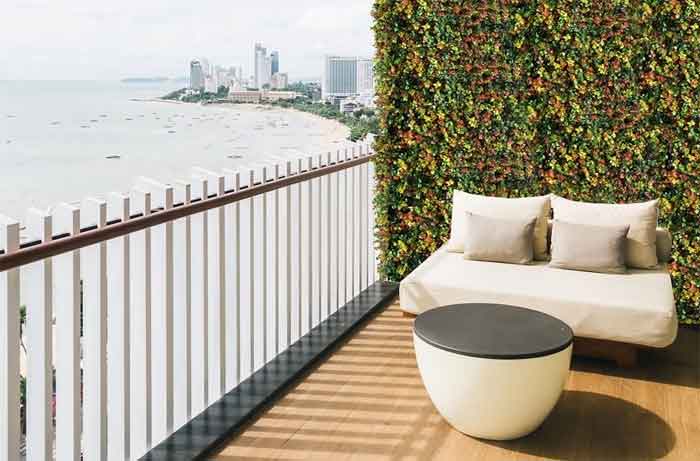 Terrace ivy walls ideas