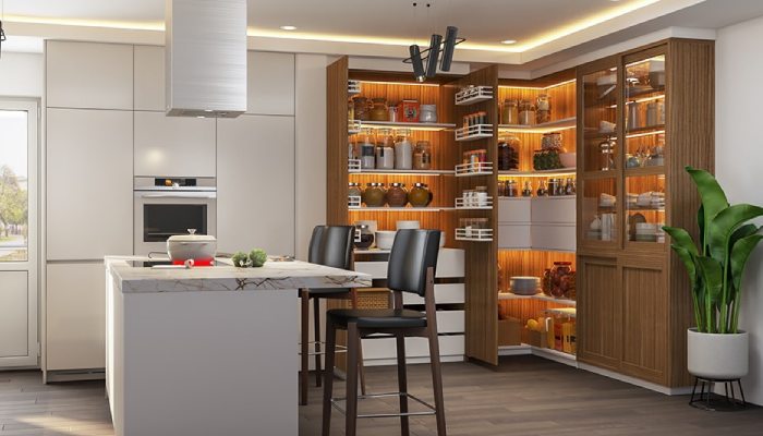 Walk-In Pantry Design Ideas