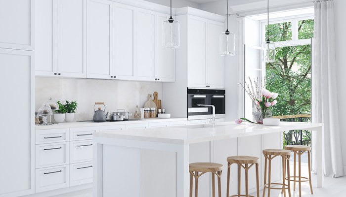 White Kitchen Design