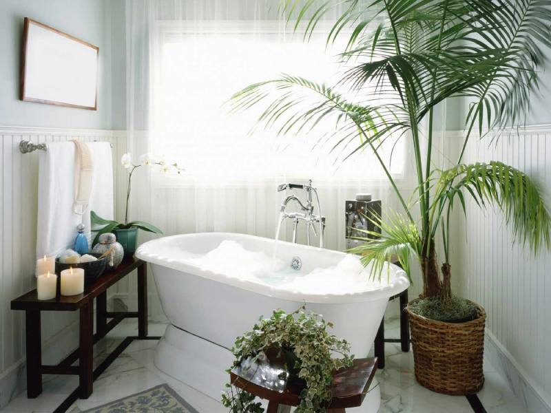 Why buy a perfect bathtub